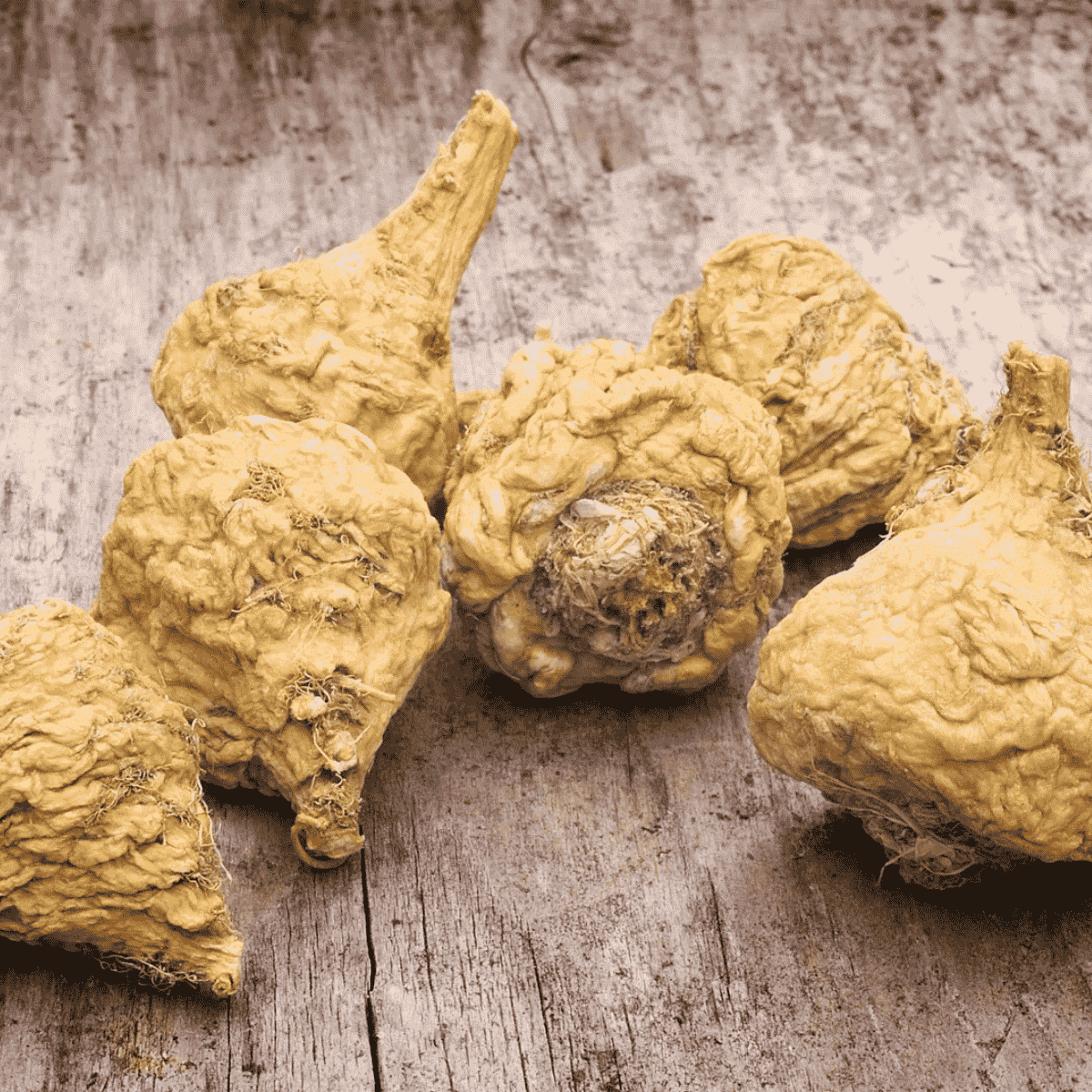 maca root