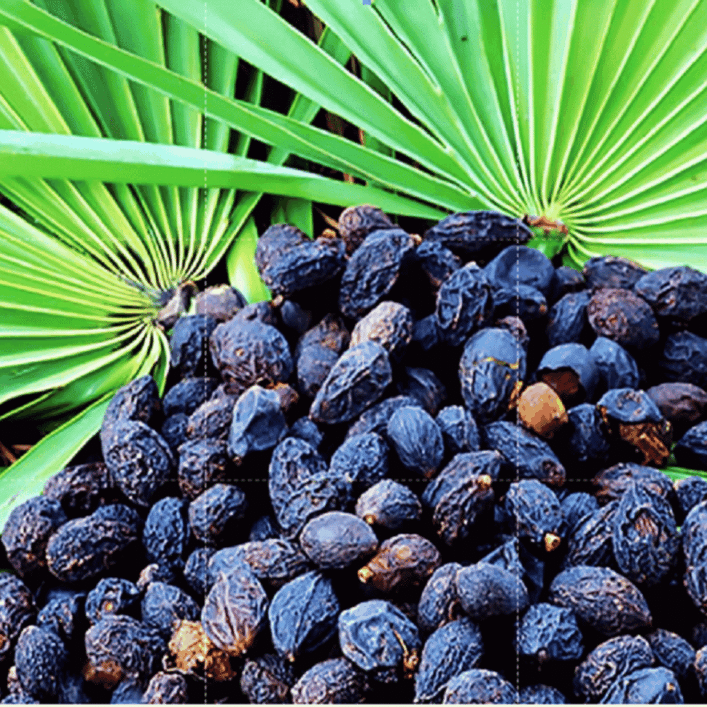saw palmetto berry extract